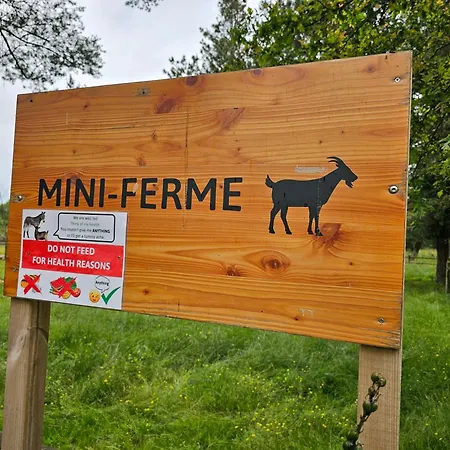 Mobil-home 6 pers - Coeur de Vendée - PuyDuFou Camping La Boissiere-de-Montaigu