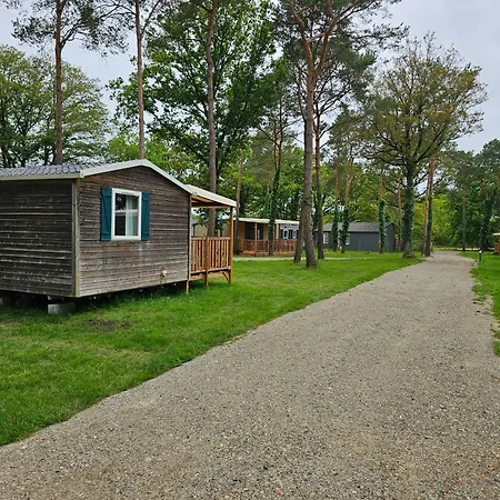 营地 Mobil-home 6 Personne - Tohapi Coeur De Vendee La Boissiere-de-Montaigu
