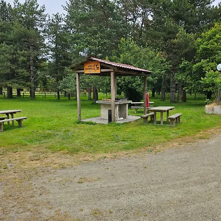 Mobil-home 6 pers - Coeur de Vendée - PuyDuFou