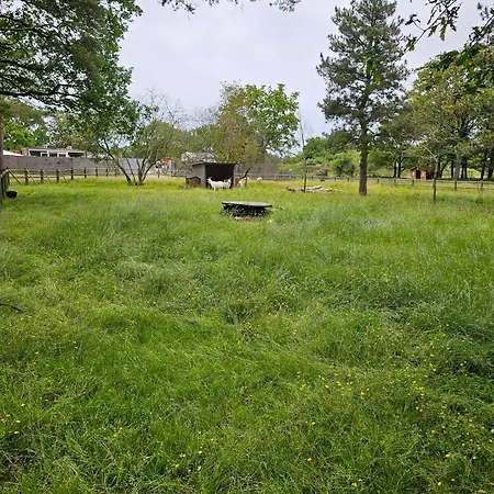 营地 Mobil-home 6 Personne - Tohapi Coeur De Vendee La Boissiere-de-Montaigu