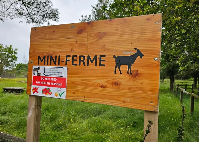 Mobil-home 6 Pers - Coeur De Vendee - Puydufou Kemping La Boissière-de-Montaigu