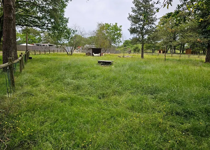 Kemping Mobil-home 6 Pers - Coeur De Vendee - Puydufou La Boissière-de-Montaigu